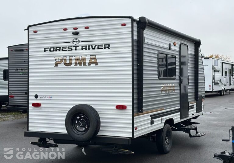 Puma 16 QBCE 2026 (3)