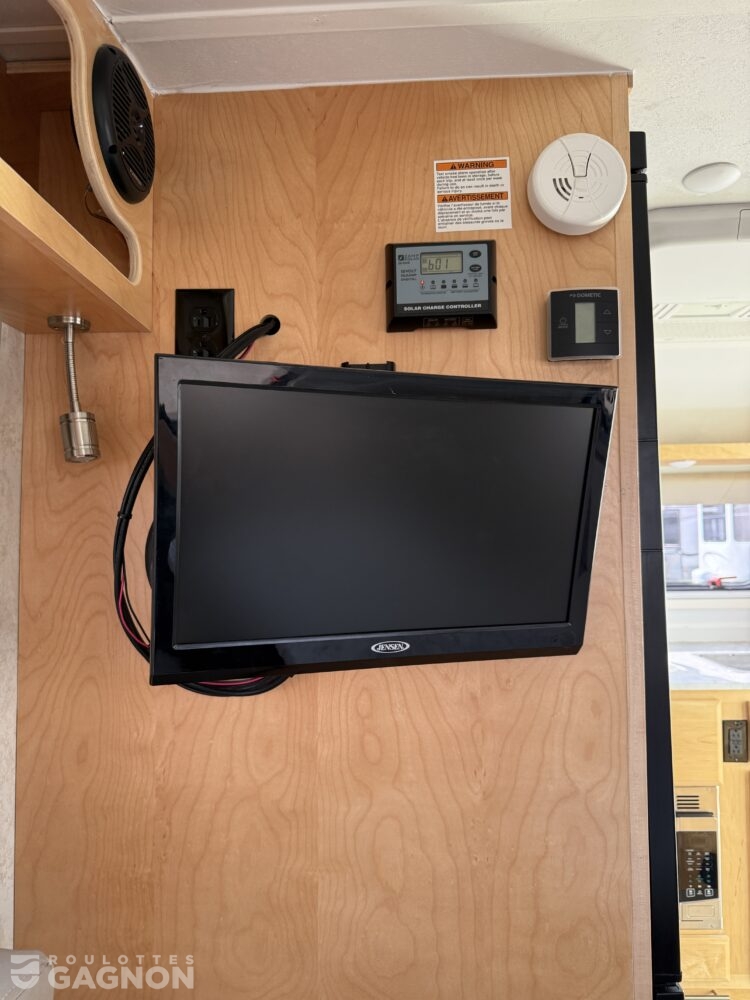 Little Guy Mini Max 2019 (15)