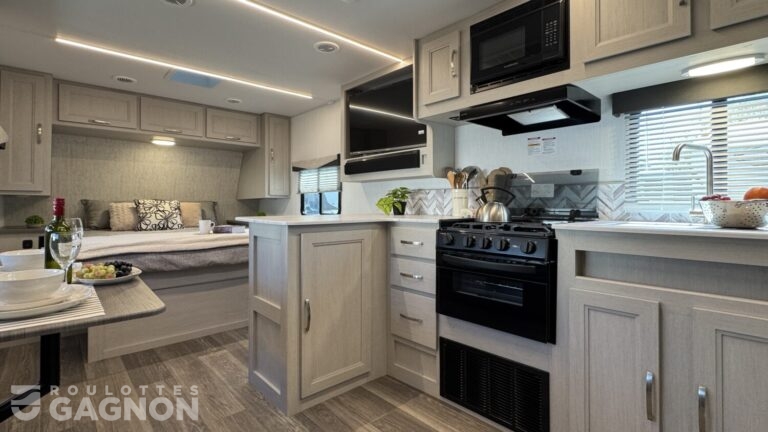 Shadow Cruiser 235 RBS 2025 (10)