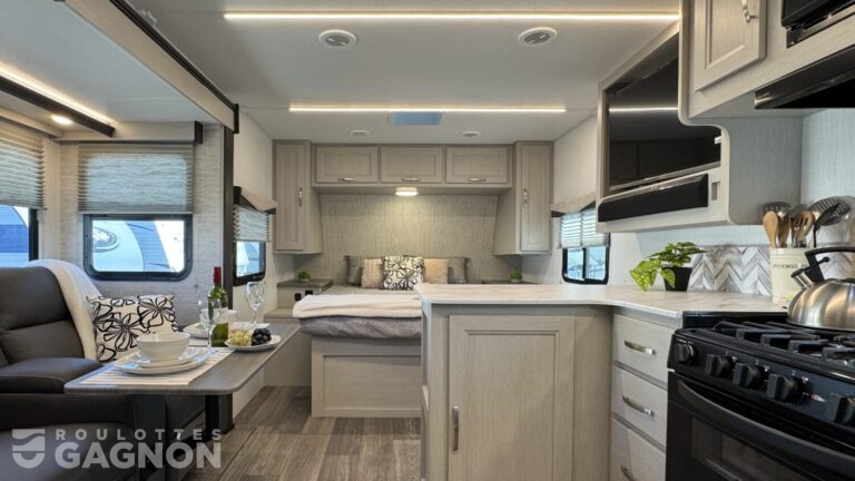 Shadow Cruiser 235 RBS 2025 (9)