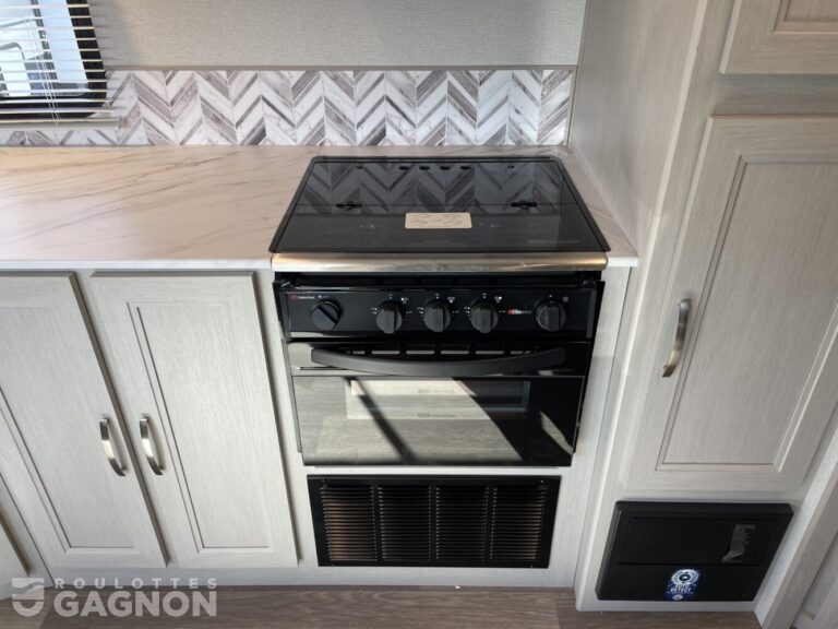 Shadow Cruiser 251 BHS 2025 (20)