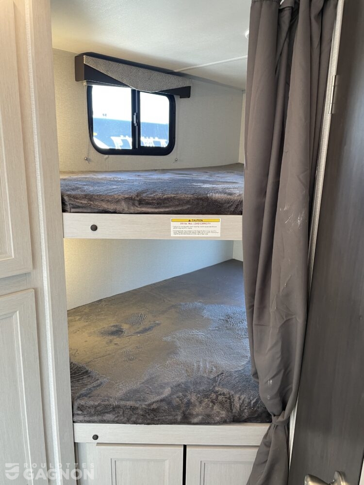 Shadow Cruiser 251 BHS 2025 (8)