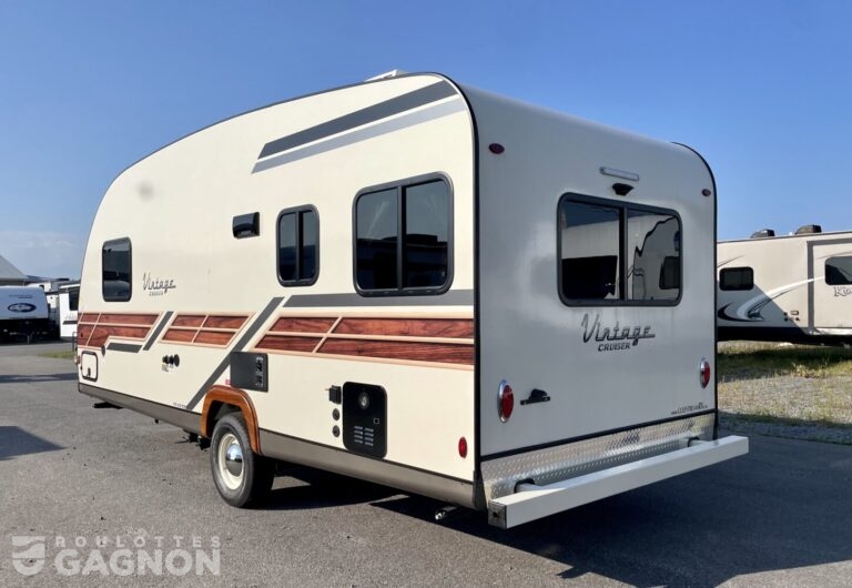 Vintage Cruiser 19 ERD 2025 (1)