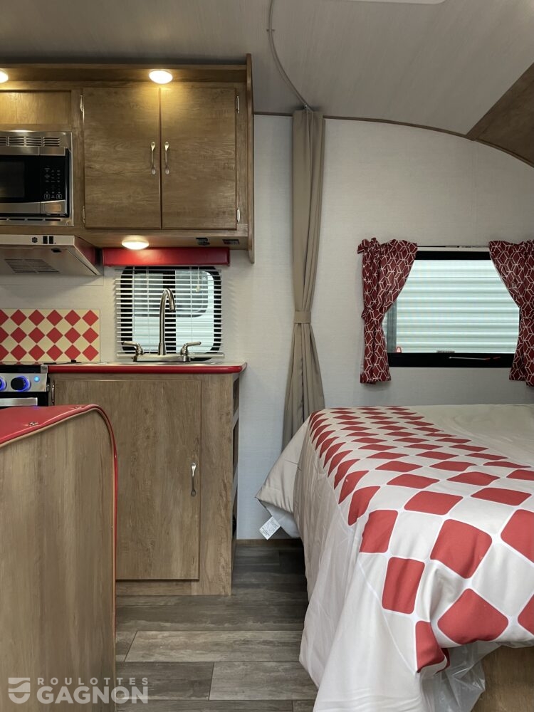 Vintage Cruiser 19 RBS 2025 (11)