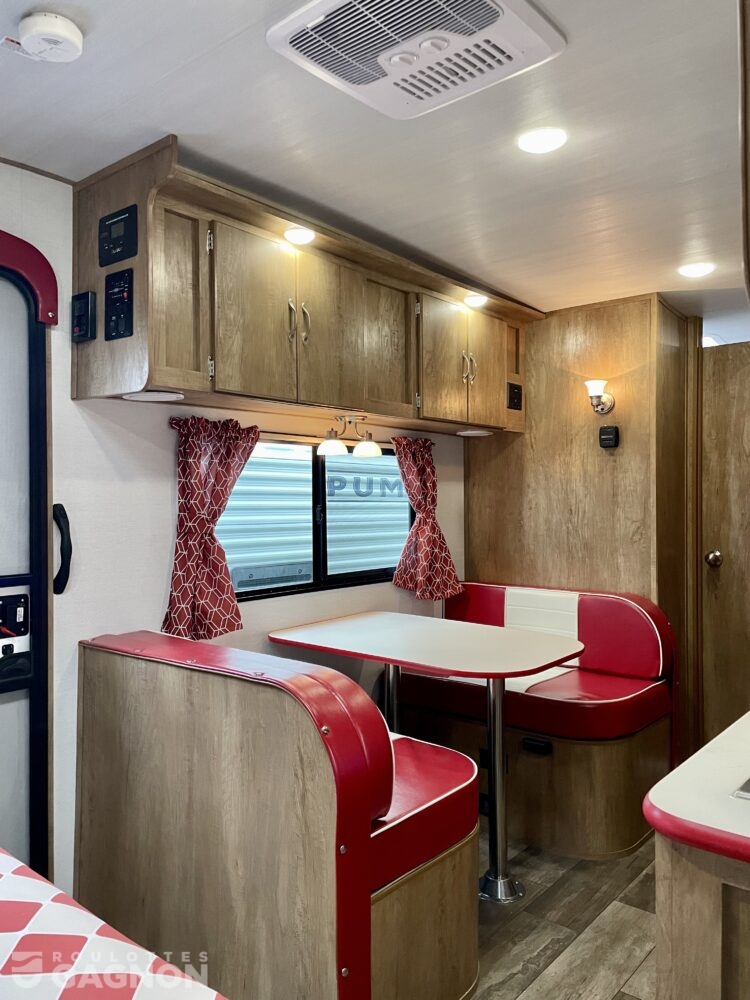 Vintage Cruiser 19 RBS 2025 (6)