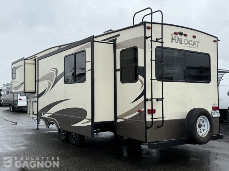Wildcat 28SGX 2019 (3)