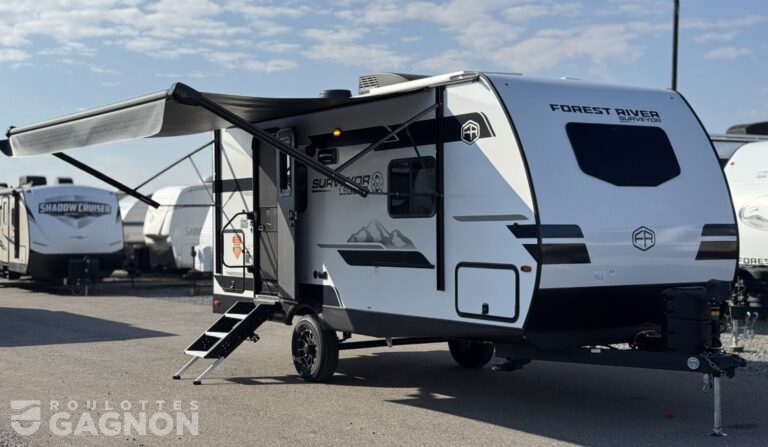 surveyor-19rble-2026-neuve-5
