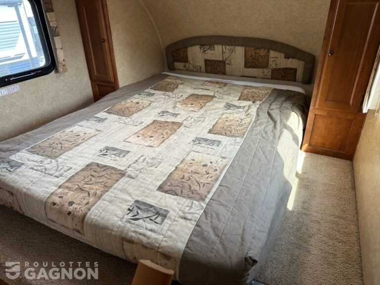 Layton 213 2011 (15)