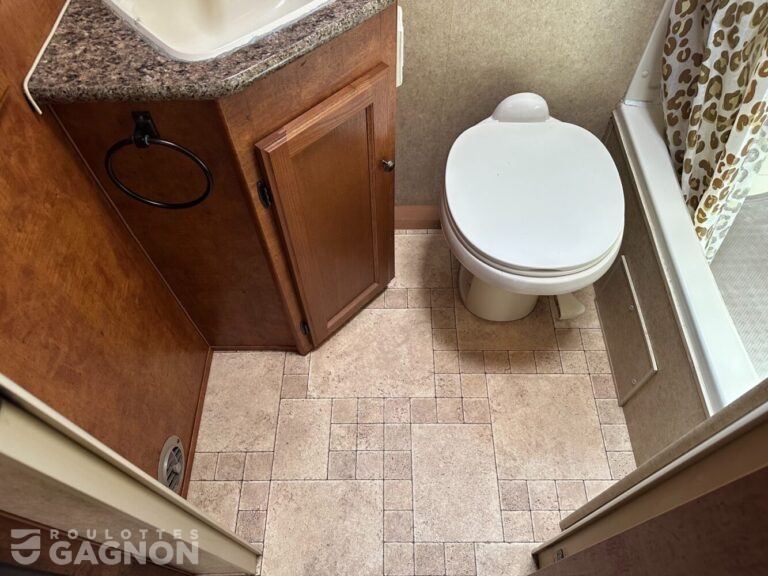 Layton 213 2011 (20)