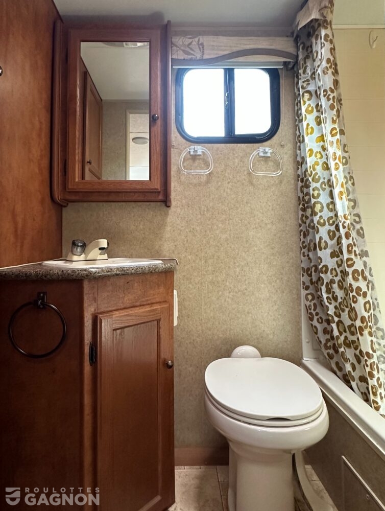 Layton 213 2011 (21)