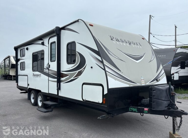 Passport 239ML 2018 (1)