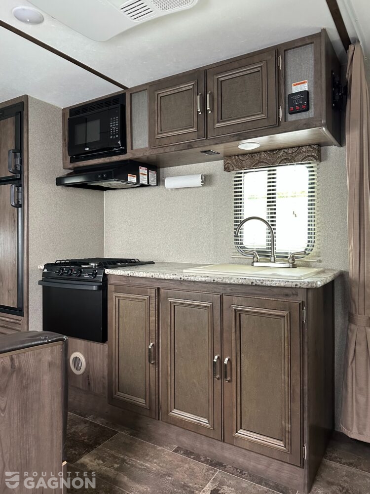 Passport 239ML 2018 (19)