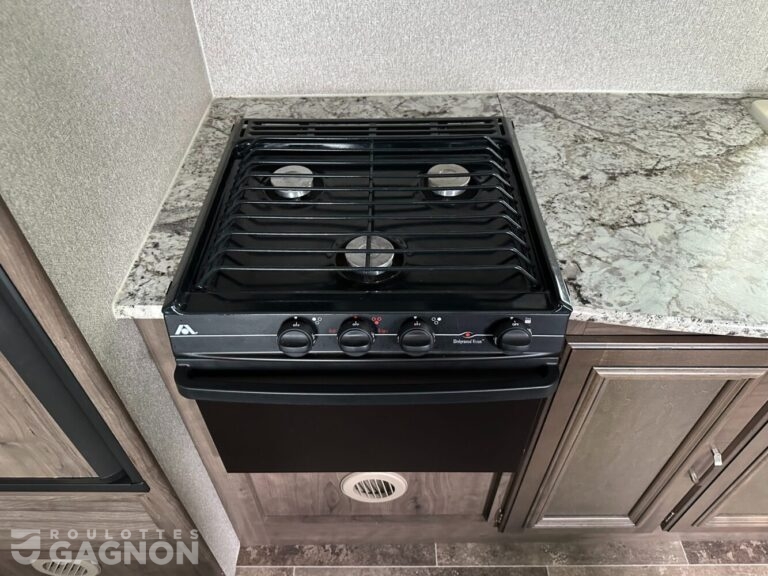 Passport 239ML 2018 (21)