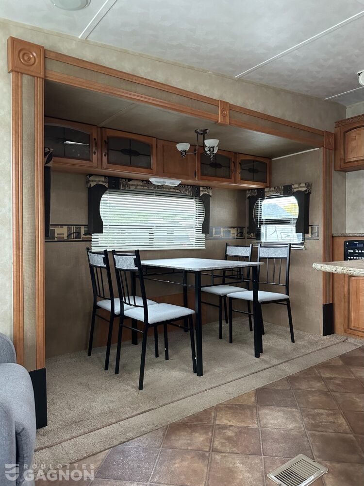 Puma 253 FBS 2013 (3)