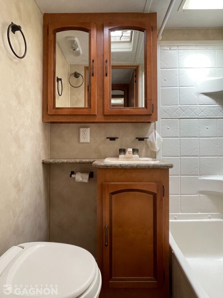 Puma 253 FBS 2013 (34)