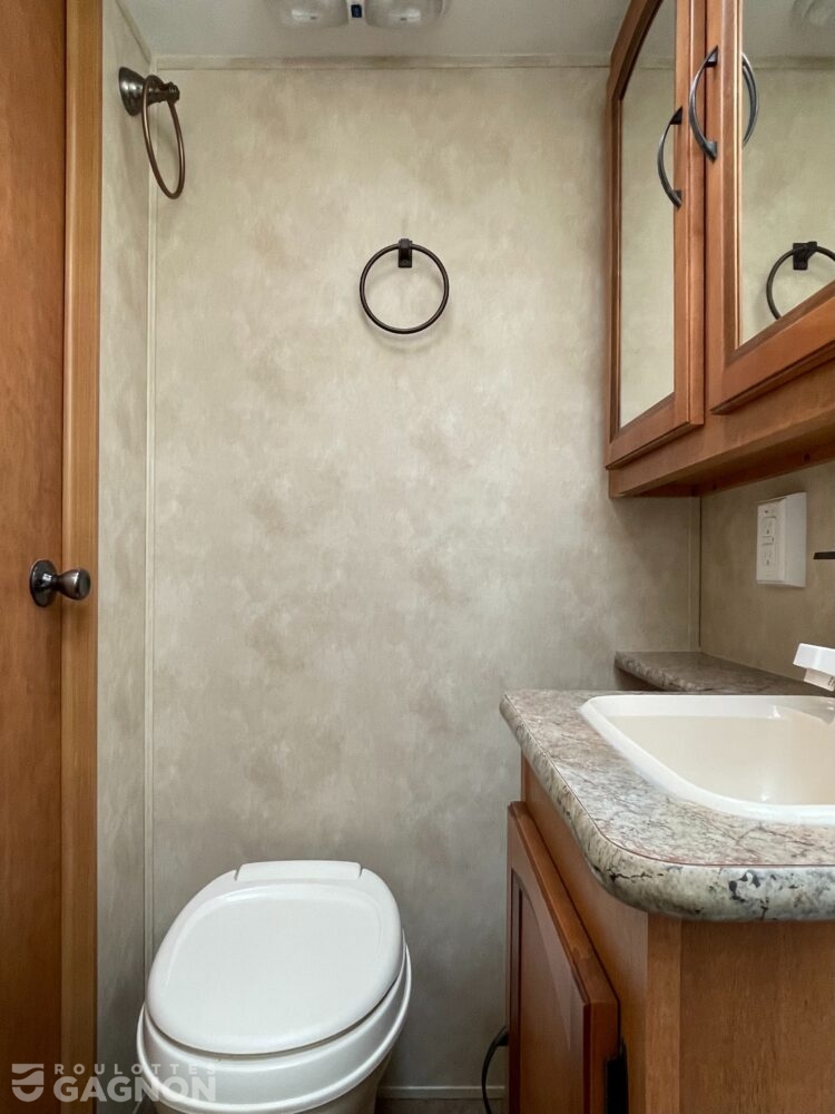 Puma 253 FBS 2013 (35)