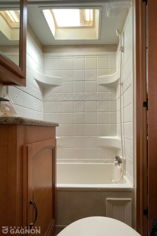 Puma 253 FBS 2013 (36)