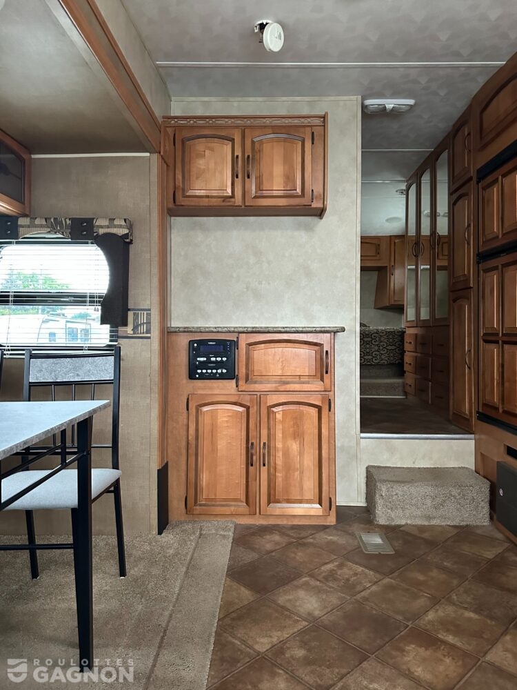 Puma 253 FBS 2013 (4)