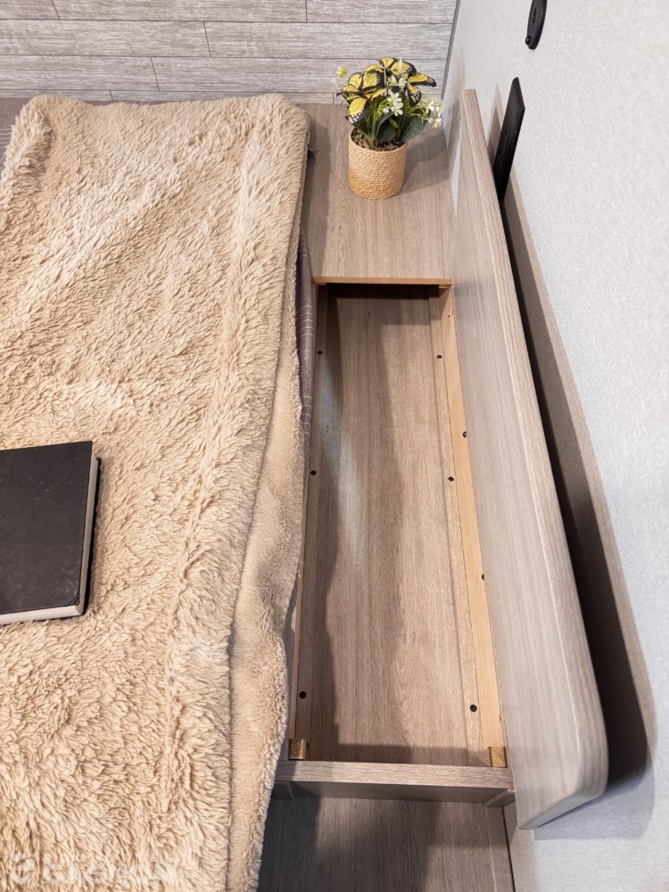 Aurora 18BHSX 2026 (41)