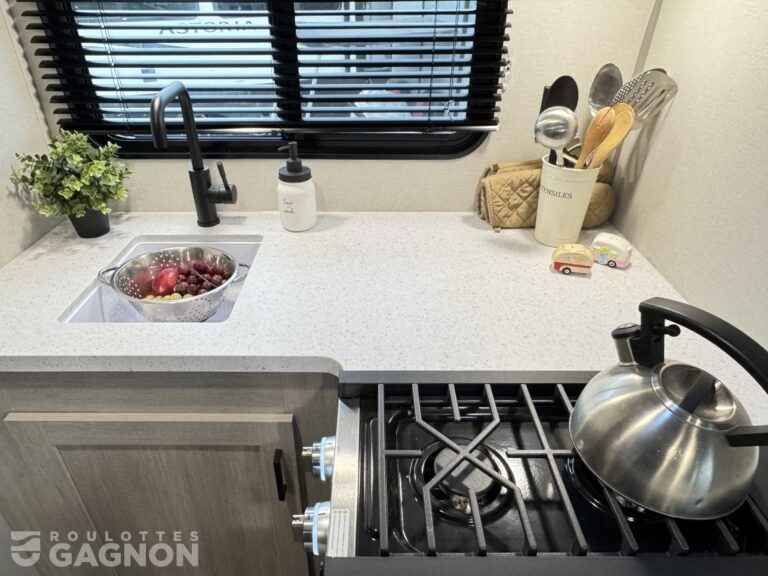 Aurora 13RKX 2026 (13)