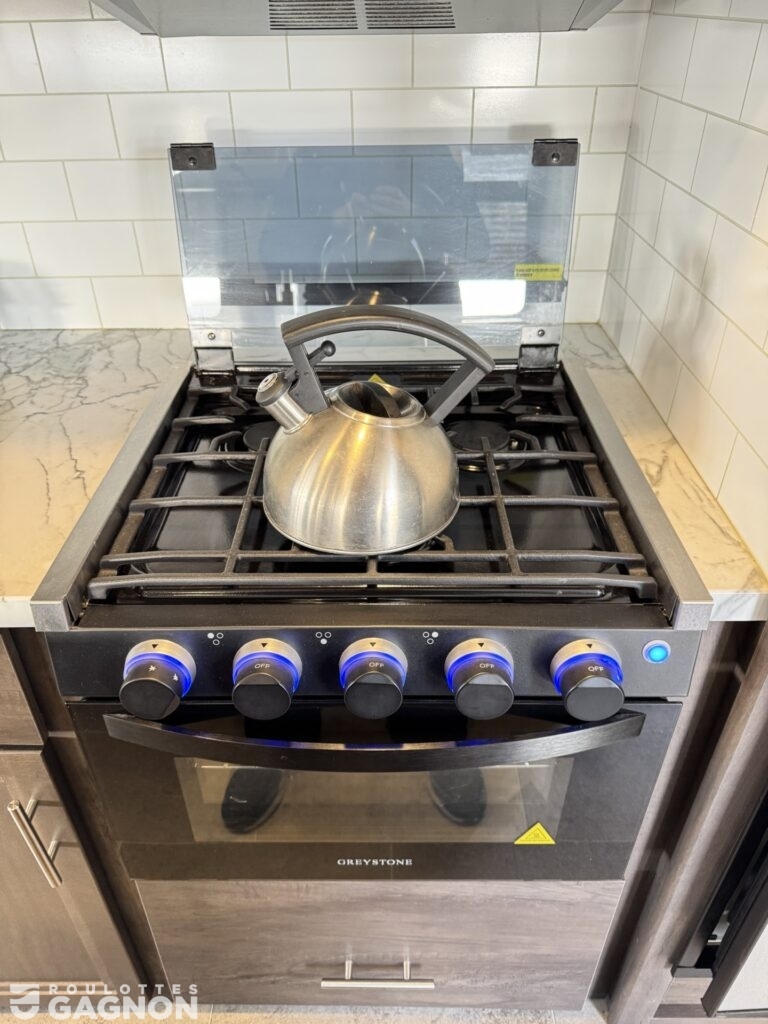 Coleman 2955RL 2021 (15)