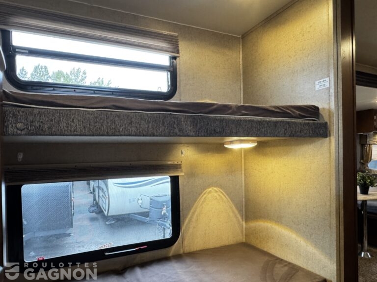Freedom Express 29SE 2016 (24)