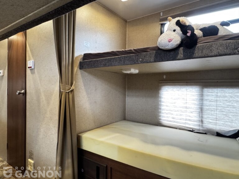 Freedom Express 29SE 2016 (25)
