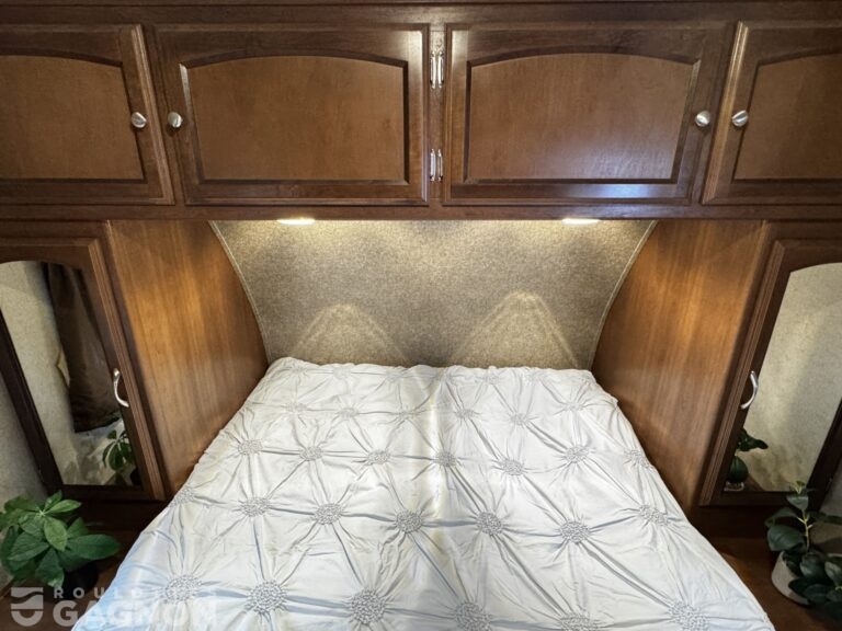 Freedom Express 29SE 2016 (31)