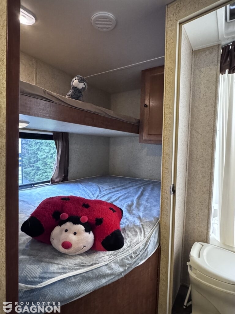 Layton 285 2014 (12)