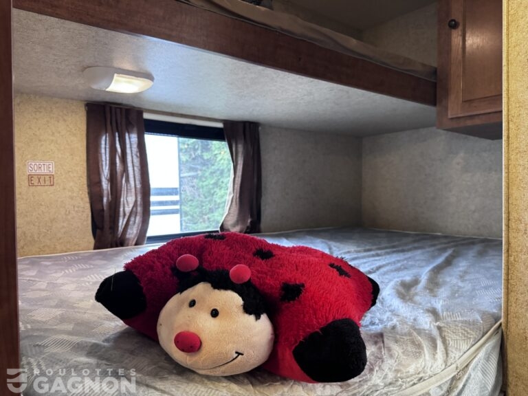 Layton 285 2014 (14)