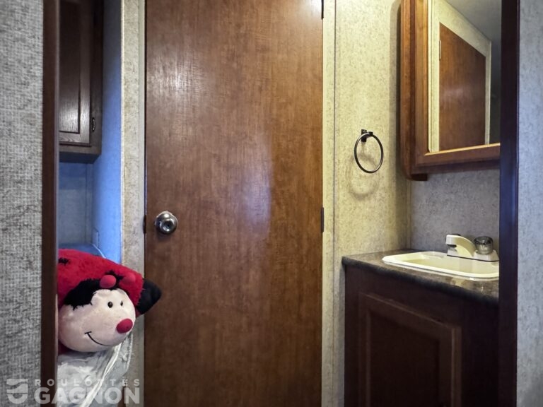 Layton 285 2014 (16)