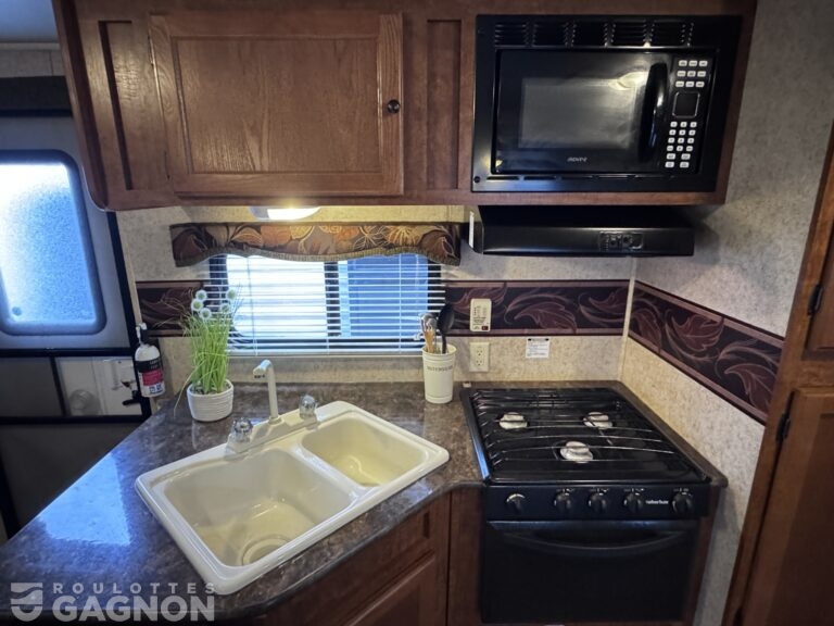 Layton 285 2014 (10)