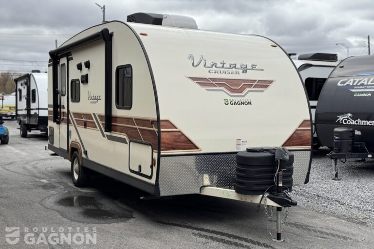 Vintage Cruiser 19CSK 2024