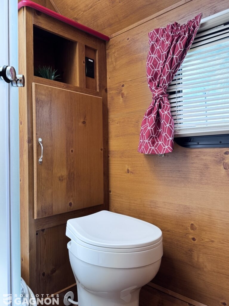 Vista Vintage Cruiser 19RBS (13)