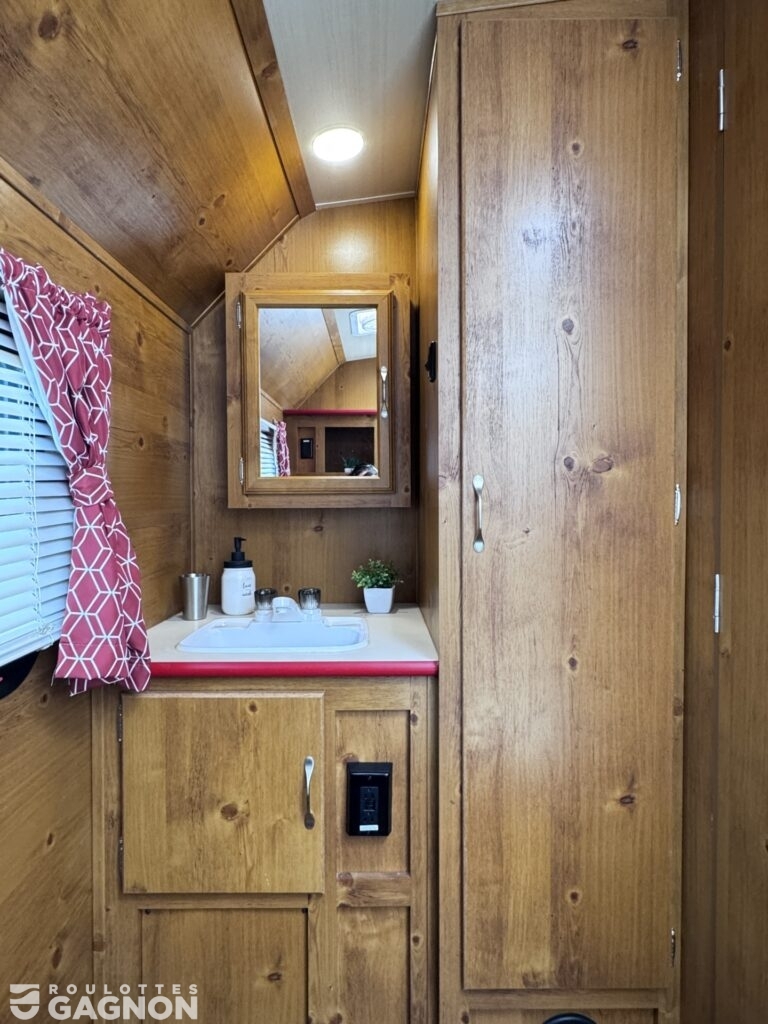 Vista Vintage Cruiser 19RBS (16)