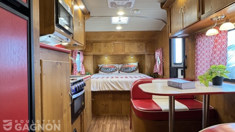 Vista Vintage Cruiser 19RBS (19)