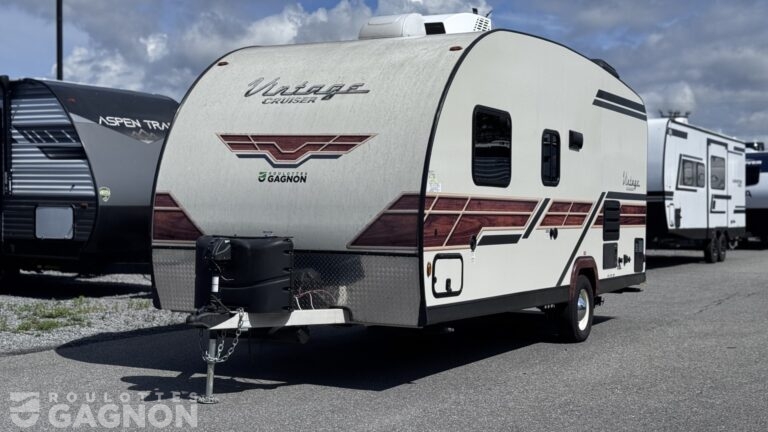 Vista Vintage Cruiser 19RBS (3)