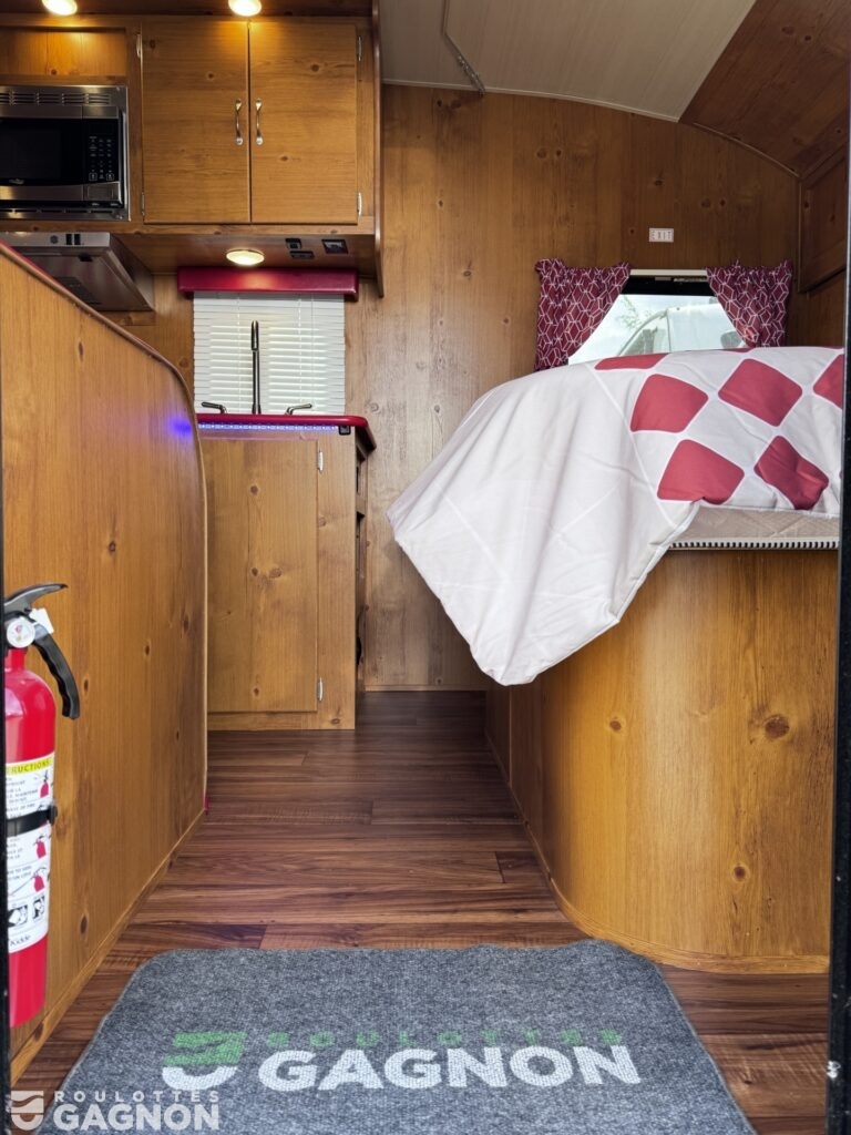 Vista Vintage Cruiser 19RBS (4)