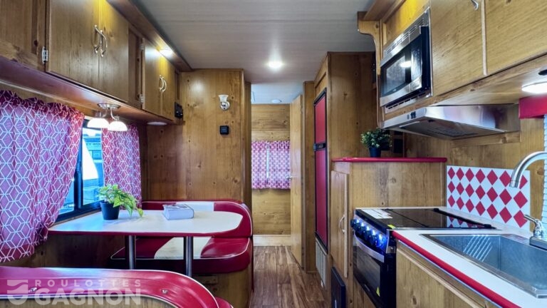 Vista Vintage Cruiser 19RBS (6)