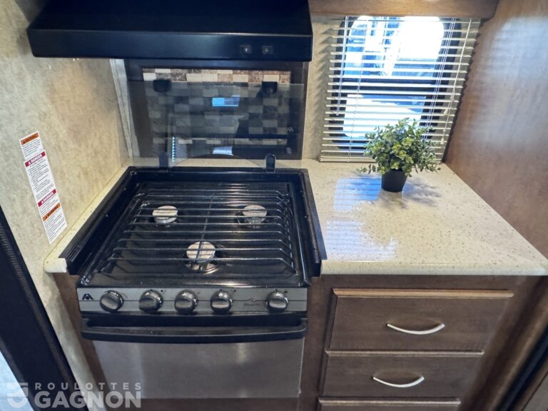 Wildcat 29RLX 2017 (14)