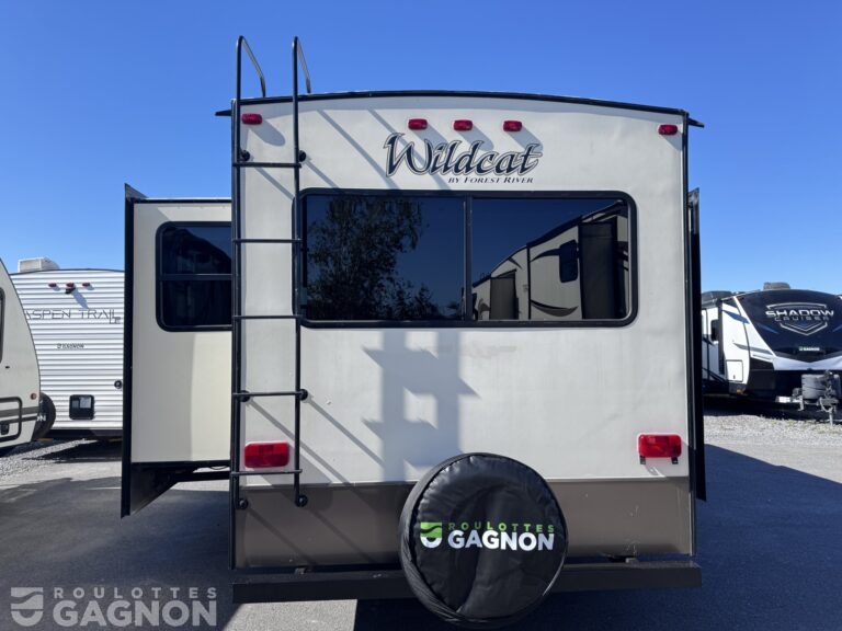 Wildcat 29RLX 2017 (7)