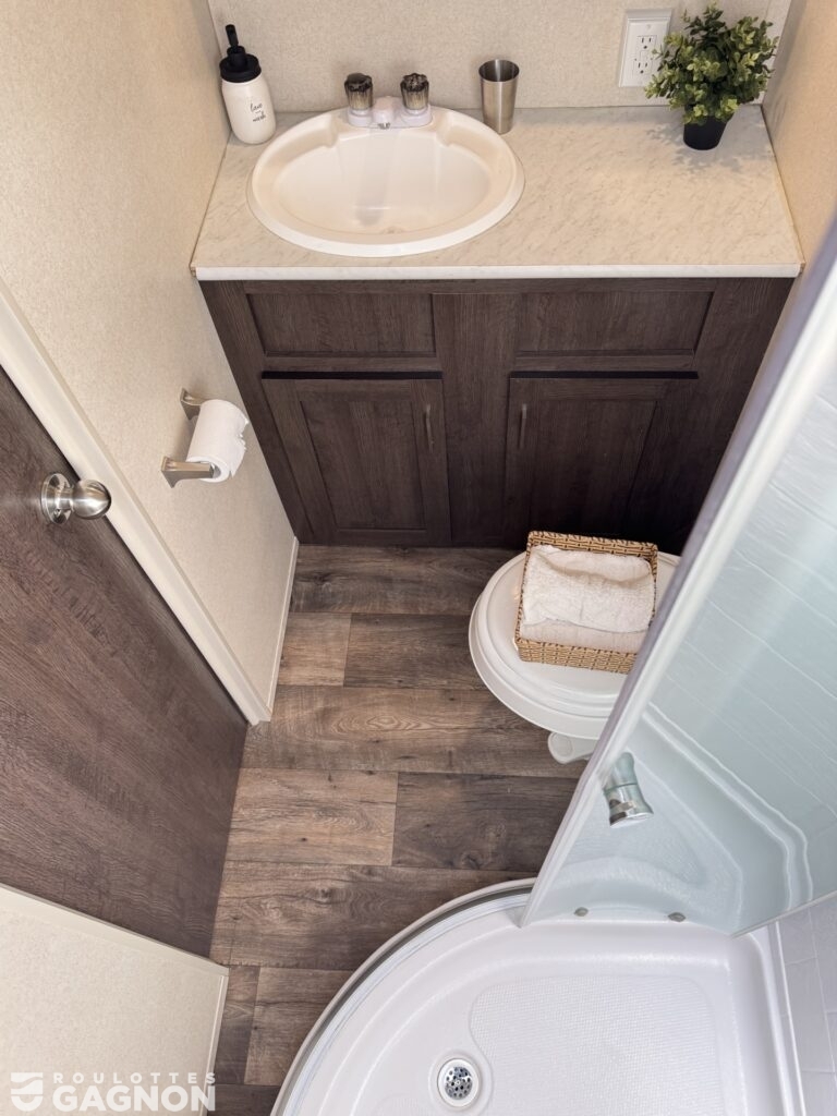 Wildwood 241QBXL 2019 (20)