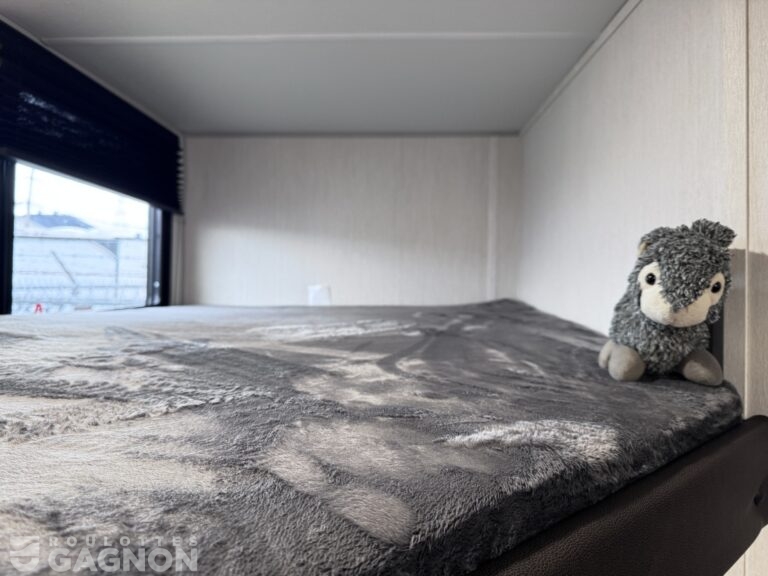 Wolf Pup 17JW 2026 (12)